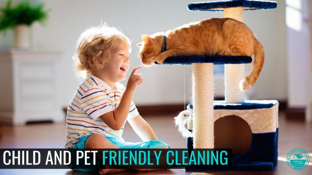 Child and Pet Friendly Cleaning Tips from All Around your House in Tampa Bay - Home Improvement and Cleaning Company
